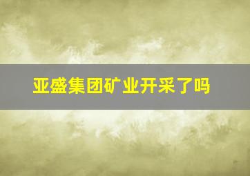 亚盛集团矿业开采了吗