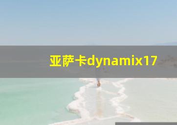 亚萨卡dynamix17