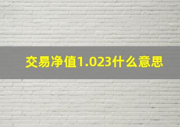 交易净值1.023什么意思