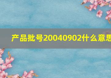 产品批号20040902什么意思