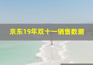 京东19年双十一销售数据