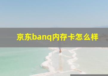 京东banq内存卡怎么样