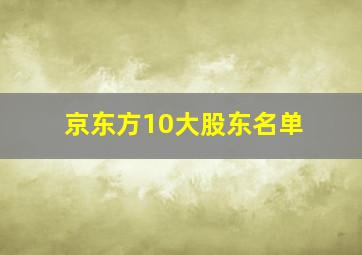 京东方10大股东名单