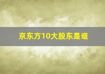 京东方10大股东是谁