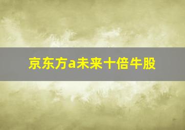 京东方a未来十倍牛股