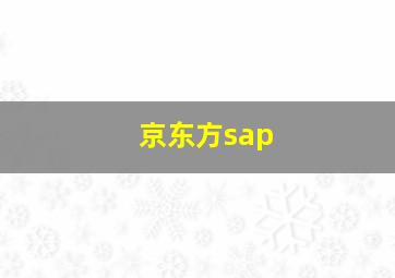 京东方sap