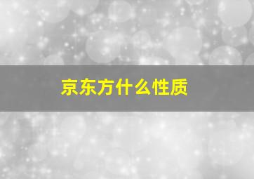 京东方什么性质