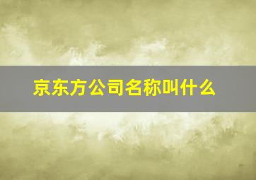 京东方公司名称叫什么