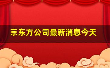 京东方公司最新消息今天