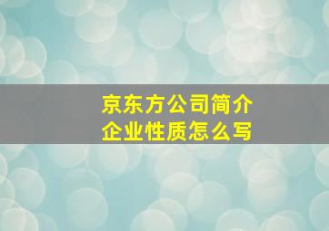 京东方公司简介企业性质怎么写