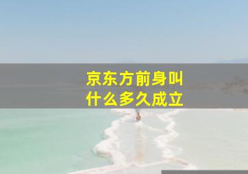 京东方前身叫什么多久成立