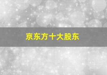 京东方十大股东