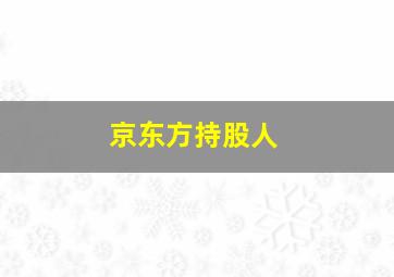 京东方持股人