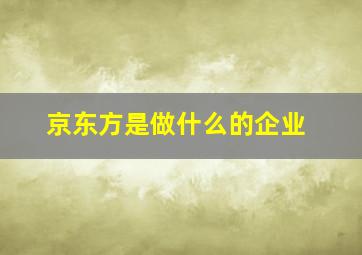 京东方是做什么的企业