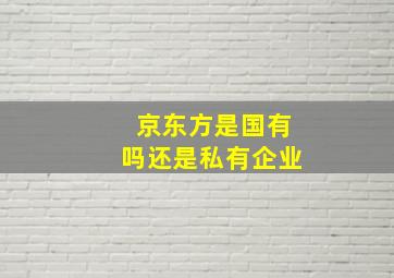 京东方是国有吗还是私有企业