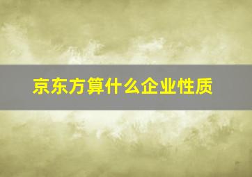 京东方算什么企业性质