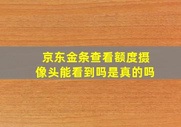 京东金条查看额度摄像头能看到吗是真的吗