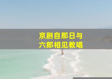 京剧自那日与六郎相见教唱