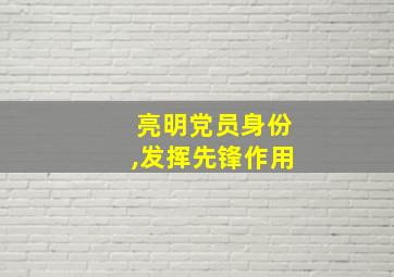 亮明党员身份,发挥先锋作用