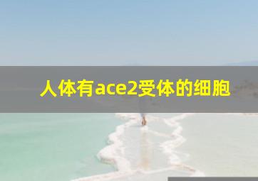 人体有ace2受体的细胞