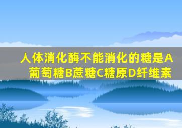 人体消化酶不能消化的糖是A葡萄糖B蔗糖C糖原D纤维素