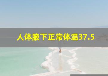 人体腋下正常体温37.5