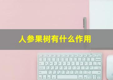 人参果树有什么作用