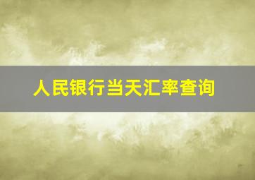 人民银行当天汇率查询