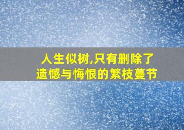 人生似树,只有删除了遗憾与悔恨的繁枝蔓节