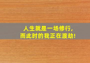 人生就是一场修行,而此时的我正在渡劫!