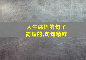 人生感悟的句子简短的,句句精辟