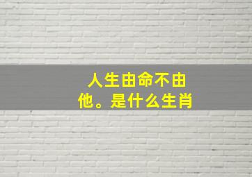 人生由命不由他。是什么生肖