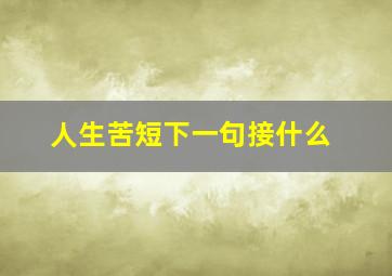 人生苦短下一句接什么