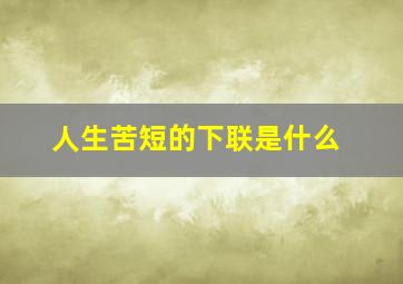 人生苦短的下联是什么