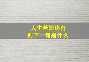 人生苦短终有别下一句是什么