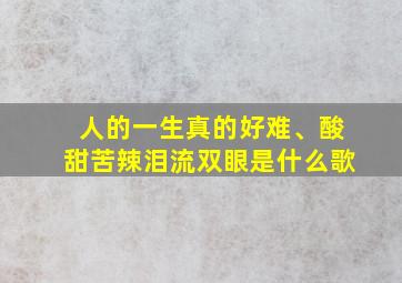 人的一生真的好难、酸甜苦辣泪流双眼是什么歌