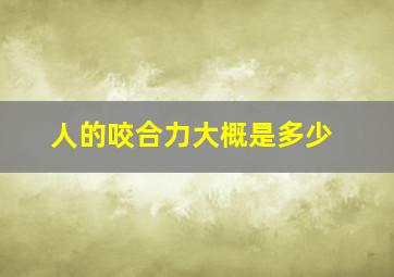 人的咬合力大概是多少