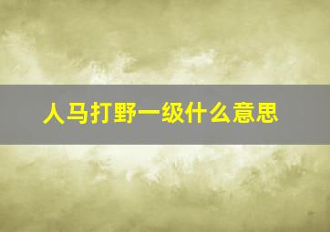 人马打野一级什么意思