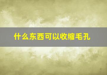 什么东西可以收缩毛孔