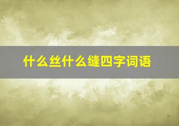 什么丝什么缝四字词语