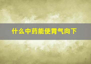 什么中药能使胃气向下