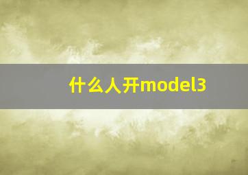 什么人开model3