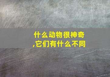 什么动物很神奇,它们有什么不同