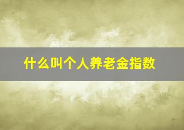 什么叫个人养老金指数