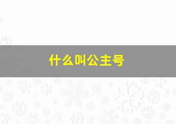 什么叫公主号