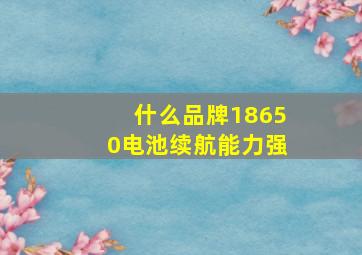 什么品牌18650电池续航能力强