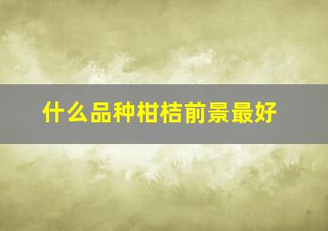 什么品种柑桔前景最好