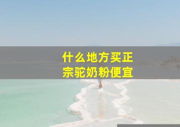 什么地方买正宗驼奶粉便宜