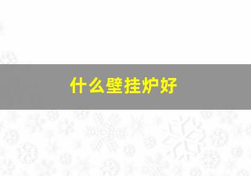 什么壁挂炉好