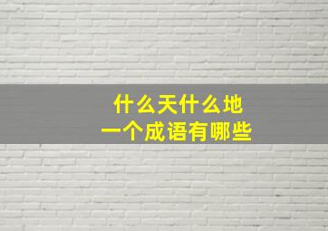 什么天什么地一个成语有哪些